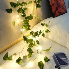 Tp Buğz Güneş Enerjili Sarmaşık LED Dekor 5 Metre