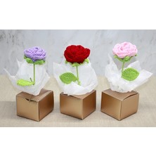 Tp Buğz Kutulu Tekli El Örgüsü Gül Kutulu