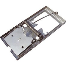 İntora Kapanı Saç