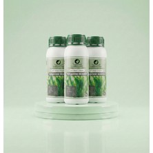 Carbonado Turquoise Seaweed 1l Sıvı Deniz Yosunu 3'lü Set