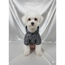 Patipin Luxury Serisi Şeffaf Tasarım Köpek Yağmurluğu – Islanmaya Son!