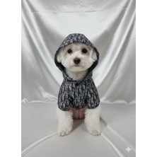 Patipin Luxury Serisi Şeffaf Tasarım Köpek Yağmurluğu – Islanmaya Son!