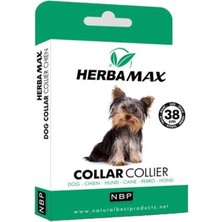 Tp Pire Dış Parazit Kene Tasması - 38 cm - Lisinya