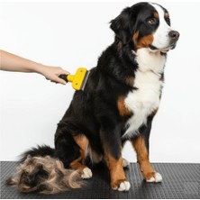 Getittir Kedi & Köpekler Için Tüy Alıcı 7 cm - Lisinya