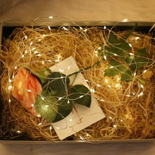 Kyops Peri LED Işık 3 Metre Gün Işığı Dekor Lambası 28 Ledli - Lisinya