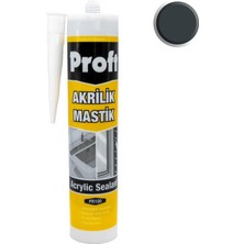 Proft PR100 Akrilik Mastik Antrasit Gri 450 gr