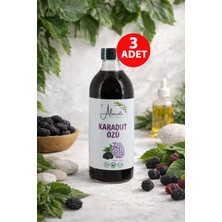 Alaçatı Naturel Karadut Özü 440 gr 3 Adet