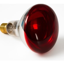 100 Watt Infrared Civciv Isıtıcı