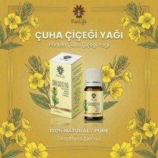 Panlife Çuha Çiçeği Yağı 10 ml %100 Saf ve Doğal – Evening Primrose Oil – Soğuk Sıkım Bitkisel Yağ