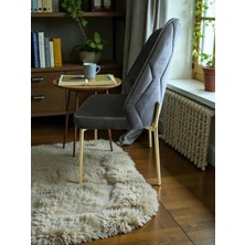 Msy Home 2 Adet Naz Serisi Gold Yönsüz Kumaş Lüks ve Modern Sandalye Seti