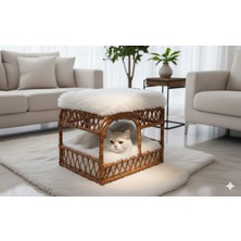 Missidea  Peluş Puf ve Kedi Yatağı Modern Evcil Hayvan Köşesi Kahverengi