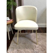 Msy Home  Berya Gold Yönsüz Kumaş Modern ve Şık Sandalye Takımı