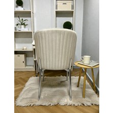 Msy Home  Berya Krom Yönsüz Kumaş Modern ve Şık Sandalye Takımı