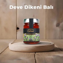 Cahter Deve Dikeni Balı 450 gr