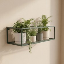 Gelişim Metal Flora -Modern Saksılık Kitaplık Dekoratif Çiçeklik