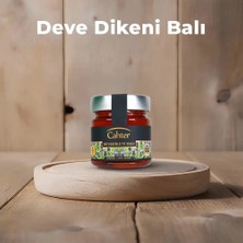 Cahter Deve Dikeni Balı 300 gr