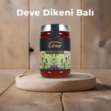 Cahter Deve Dikeni Balı 850 gr