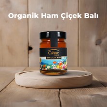 Cahter Organik Süzme Ham Çiçek Balı 450 gr