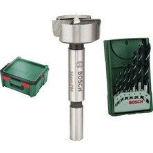 Bosch Home And Garden Alet Kutusu (Elektrikli Aletler Için, ... +2 Parça Yapı Seti