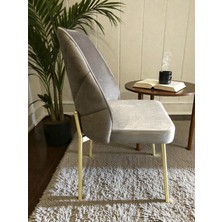 Msy Home 2 kişilik Nova White Gold Yönsüz Kumaş Modern ve Şık Sandalye Takım