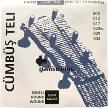 Galli CU012 Profesyonel Cümbüş Teli Takım