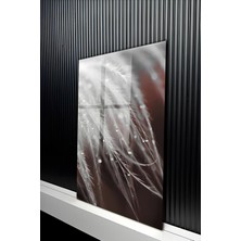 KutuTR Makro Detaylı Kuş Tüyü ve Çiy Damlaları Temalı Temperli Cam Tablo 50X70 cm 2d Uv Baskı - YCT193
