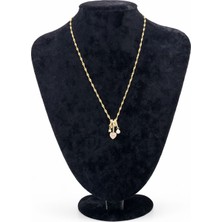 Pangu Altın Renk Kalpli Sallantı Figürlü Zirkon Taşlı Çelik Kolye