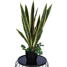 Yapay Çiçek Sitesi Lüks Yapay Kılıç Bitkisi Yeşil-Sarı 70 cm