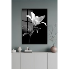 KutuTR Siyah Arka Plan Üzerine Beyaz Zambak Çiçeği Temalı Temperli Cam Tablo 50X70 cm 2d Uv Baskı - YCT127