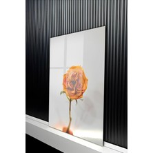 KutuTR Minimalist Turuncu Kurutulmuş Gül Tasarımlı Temperli Cam Tablo 50X70 cm 2d Uv Baskı - YCT263