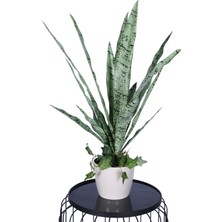 Yapay Çiçek Sitesi Lüks Yapay Kılıç Bitkisi Yeşil 70 cm