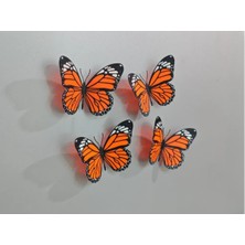 Dekoratif Kelebek Magnet Tekli 1 Adet Karışık Renk