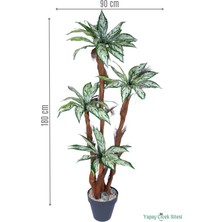 Yapay Çiçek Sitesi 4 Gövdeli Yapay Difenbahya Ağacı Model 1