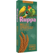 Svgpt Ruppa Kırmızı Dal Darı