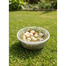 Doğal Gezen Tavuk Yumurtası 30'lu