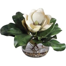 Laromita Decoration Vazoda Celıa Manolya