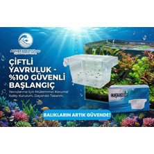 Aquawe Çiftli Yavruluk - Şeffaf Tasarım - 19,5 x 10 cm - Şeffaf Vantuzlu - Sağlam Yapı