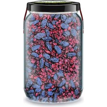 Zencefil Organik Bi Kavanoz On-Mıx/9 Çekirdeksiz Siyah Üzüm Kurusu + Zeriş Iran Üzümü ( Zereşk Zereshk ) Barberin