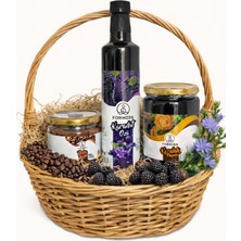 Formzen Fırsat Paketi – Hindiba Detox Kahve, Karadut Özü ve Servi Kozalağı Pekmezi (3’lü Set)