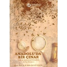 Anadolu Üniversitesi Anadolu'da Bir Çınar. Prof.dr. M.erol Altınsapan 60. Yaş Armağanı / Editör: B. Yelda Olcay Uçkan