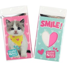 3 Adet  Studio Pets Silgi PT-131