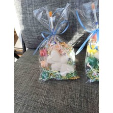 Opulent Accessories Arı Taş Boyama Seti 10 Adet, Okulöncesi Etkinlik Seti, Karne ve Mezuniyet Hediyelik, Doğum Gunu Hediyelik,aile Katilim, Anaokulu Etkinlik