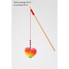 Majoris Kalpli Kedi Oltası