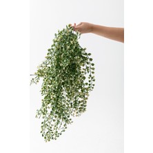 Güleç Yapay Çiçek Yapay Japon Şimşir Sarkan 80 cm 5 Dal Yeşil