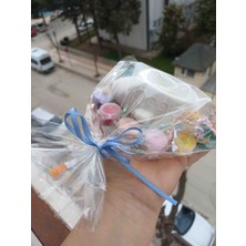 Opulent Accessories Uçak Saksi Veya Mumluk Taş Boyama Seti 10 Adet, Okulöncesi Etkinlik Seti, Karne ve Mezuniyet Hediyelik, Doğum Gunu Hediyelik,aile Katilim, Anaokulu Etkinlik