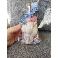 Opulent Accessories Lale Çiçek Taş Boyama Seti 10 Adet, Okulöncesi Etkinlik Seti, Karne ve Mezuniyet Hediyelik, Doğum Gunu Hediyelik,aile Katilim, Anaokulu Etkinlik
