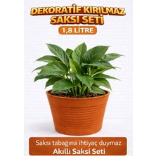 Akıllı 2'li Saksı Seti - Terracota Dekoratif Saksı + Şeffaf Üretim Saksısı | Drenajlı Kırılmaz