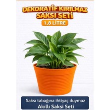2'li Saksı Seti | 15 Pot Üretim Saksısı + 1.8 L Turuncu Kırılmaz Dekoratif Dış Saksı