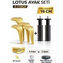 İmt Aksesuar Lotus 19 cm Ayak Seti Altın (6 Parça) Robot Süpürgeye Uyumlu Koltuk Mobilya Dolap Baza Ayağı