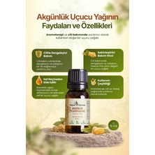Ilaçsız Market Buhur Yağı / Akgünlük Yağı (Frankincense Yağı) / 10 ml